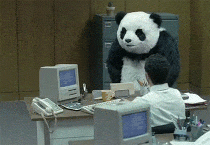 Panda Pushing Items Off Of A Desk In A Small Office